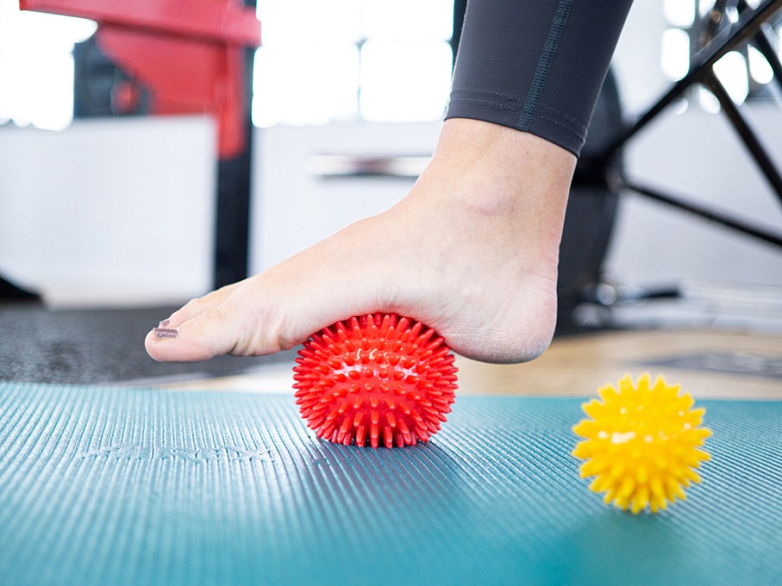 Hedgehog Massage Ball